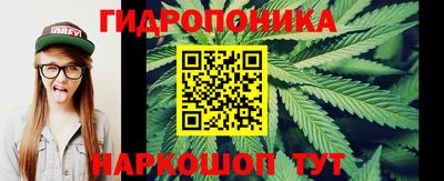 дживик Новозыбков