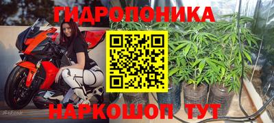 дживик Новозыбков