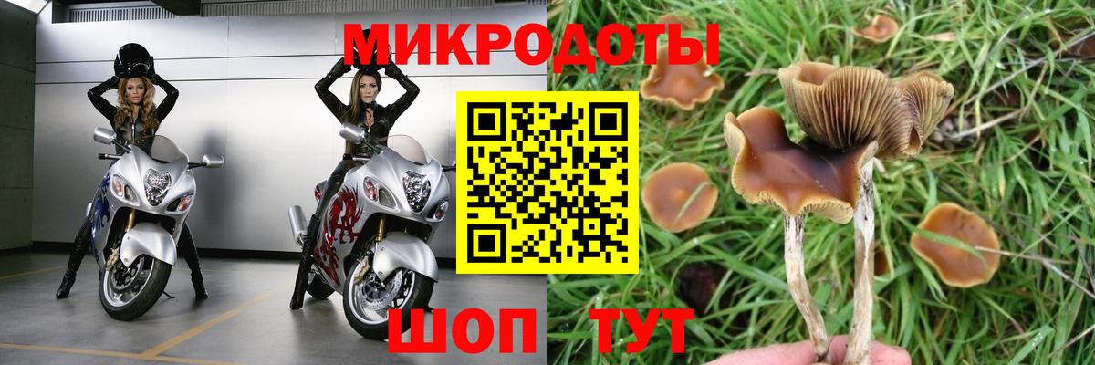 Галлюциногенные грибы Magic Shrooms Сухой Лог